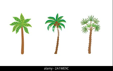Palm trees isolated on white background. Beautiful vectro palma tree set Stock Vector