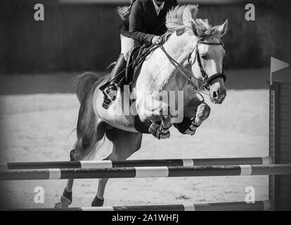 Black and white image of a white horse with flowing mane and tail, which jumps over a high barrier with a rider in the saddle. Stock Photo