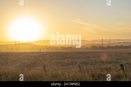 Golden fields of barley Stock Photo