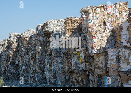 Waste paper is collected and packed for recycling. Cardboard and Paper Recycling Stock Photo