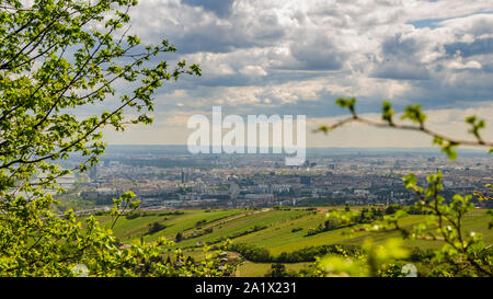 View from Kahlenberg hill on vienna cityscape. Tourist spot Stock Photo