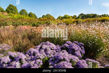 Floral abundance at RHS HYDE HALL, Chelmsford, Essex, England, United Kingdom. Stock Photo