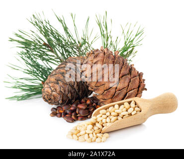 peeled cedar nuts in wooden scoop and branch with pine cone isolated on white background Stock Photo