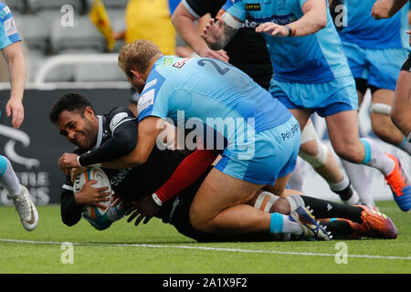 Newcastle, UK. 15th Sep, 2019. NEWCASTLE UPON TYNE, ENGLAND SEPTEMBER 29TH George Wacokecoke of Newcastle Falcons scores during the RFU Championship Cup match between Newcastle Falcons and Doncaster Knights at Kingston Park, Newcastle on Sunday 29th September 2019. (Credit: Chris Lishman | MI News) Credit: MI News & Sport /Alamy Live News Stock Photo