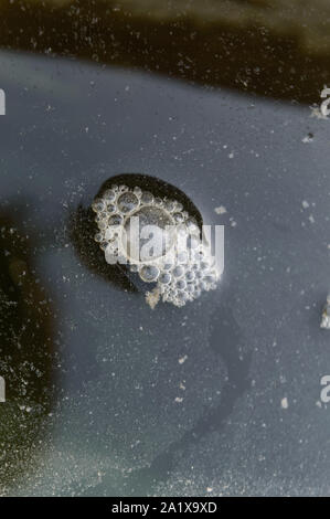 Droplet of dirty water on pond. Stock Photo