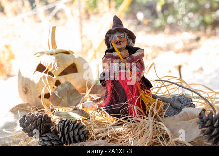 Halloween decorations, pumpkin and witch Stock Photo