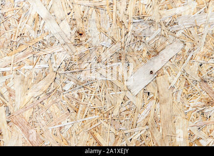 Old wood chipboard background, seamless grunge texture of pressed wood, horizontal osb board Stock Photo