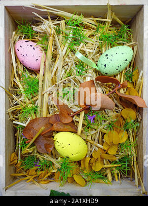 Colorful Easter eggs chocolate candies Stock Photo