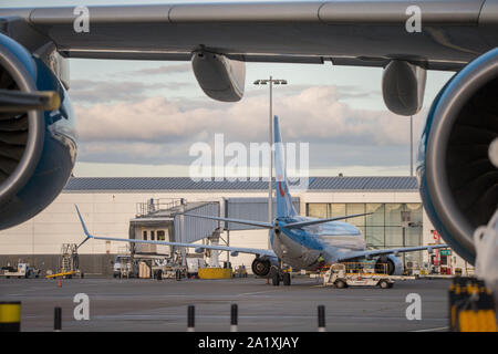 Glasgow, UK. 28 September 2019.  Pictured: A TUI Boeing 737 is seen in the background under the gigantic wing of a Hi Fly Super Jumbo Airbus A380-800 which was used for Operation Matterhorn. Following the immediate fallout from the collapsed tour company Thomas Cook, Operation Matterhorn is still in full swing at Glasgow Airport. The grounded and impounded Thomas Cook aircraft have been moved to a quieter part of the airfield to make way for the wide body fleet needed for operation Matterhorn. Colin Fisher/CDFIMAGES.COM Stock Photo