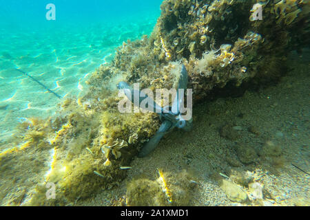 Anchor hooked up on the beautiful underwater rock Stock Photo