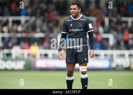 Newcastle, UK. 15th Sep, 2019. NEWCASTLE UPON TYNE, ENGLAND SEPTEMBER 29TH George Wacokecoke of Newcastle Falcons during the RFU Championship Cup match between Newcastle Falcons and Doncaster Knights at Kingston Park, Newcastle on Sunday 29th September 2019. (Credit: Chris Lishman | MI News) Credit: MI News & Sport /Alamy Live News Stock Photo