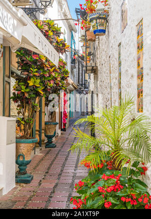 A picturesque and narrow street in Marbella old town, province of Malaga, Spain. Stock Photo