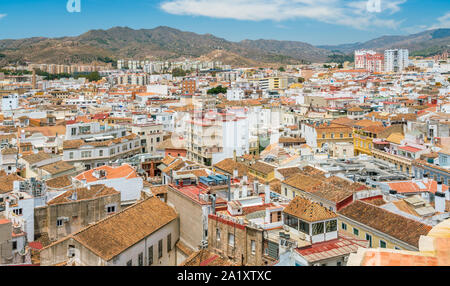 Panoramic sight in Malaga from the Cathedral roof. Andalusia, Spain. Stock Photo