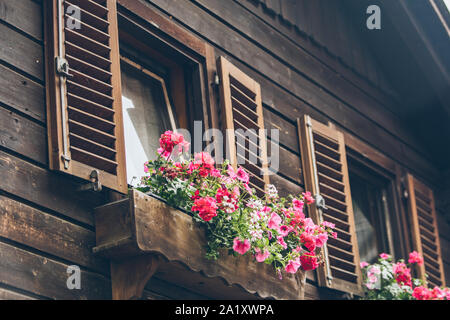 pink flowers decoration at wooden windows with shutters Stock Photo