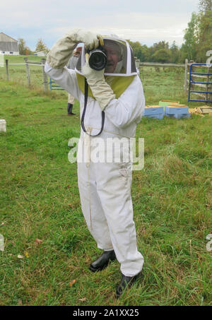 Honey bee Harvest by Beekeeper harvest the honey from his hives in late fall in Ontario, Canada Stock Photo