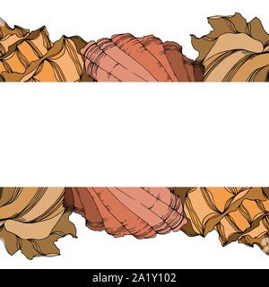 Vector Summer beach seashell tropical elements. Black and white engraved ink art. Frame border ornament square on white background. Stock Vector
