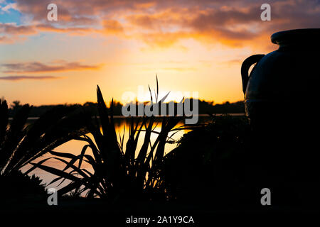 Dramatic sky at sunrise with silhouette large urn and flax in foreground close-up. Stock Photo