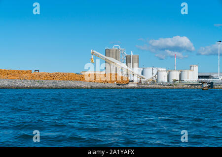 Logs stacked waiting for ships to export on dock Stock Photo