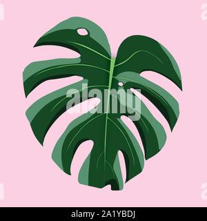 Monstera Deliciosa Tropical Leaf on Pink Background Vector Art Stock Vector