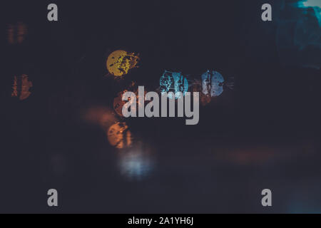 Traffic lights through the window in a rainy night Stock Photo