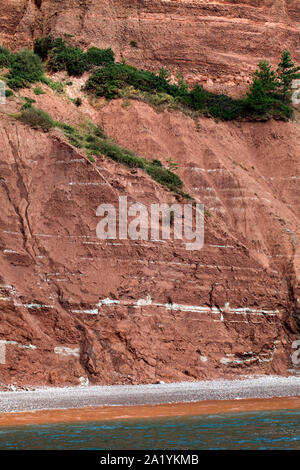 Towering red sandstone cliffs on the East Devon coast. UK. Rock, strata, Stock Photo