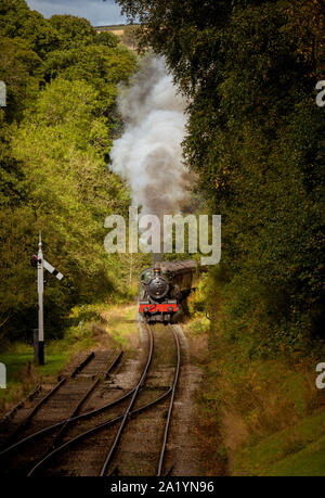 Railway engine 6990 Witherslack Hall, pulling into Goathland station, North Yorkshire Moors Railway. Stock Photo