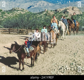 Trail rides on horseback are the major attraction for many families vacationing at numerous dude ranches scattered around the southwestern state of Arizona, USA. Children and their parents mount Western saddles on the gentle four-footed animals that are guided by experienced cowboy wranglers through the arid but beautiful desert terrain. Trail trips of one to two hours or longer usually are offered mornings and afternoons and range from leisurely rides at a walk to faster paces that include loping. Horseback riding is the mainstay of all Arizona dude ranches. Stock Photo