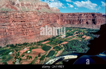 This aerial view from a helicopter shows Supai, the remote verdant village of the Havasupai Tribe, known as the People of the Blue-Green Water, who live eight miles below the rim of the Grand Canyon in northwestern Arizona, USA. Water from a limestone aquifer on the Indian reservation irrigates verdant fields of corn, squash, beans and peach orchards. Such agriculture has allowed tribal members to live deep in the canyon for several centuries. A major attraction there is beautiful Havasu Falls, a destination for more than 20,000 adventurous hikers annually. Stock Photo