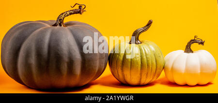 Halloween Pumpkin Themes Stock Photo