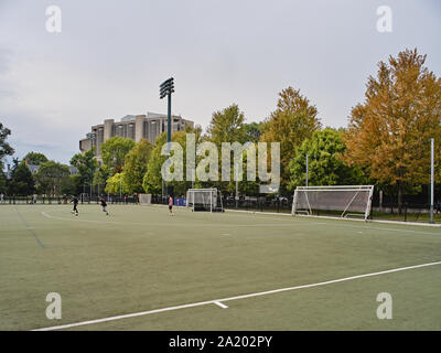 University of Toronto Stock Photo