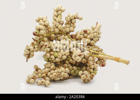 Rattan fruit isolated on white background Stock Photo