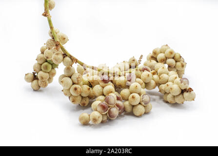 Rattan fruit isolated on white background Stock Photo