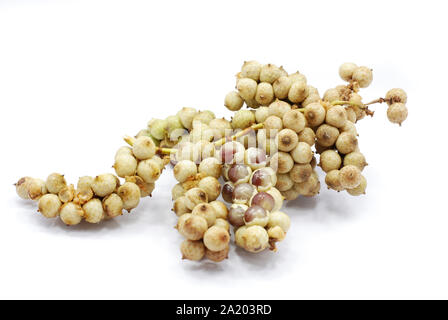 Rattan fruit isolated on white background Stock Photo