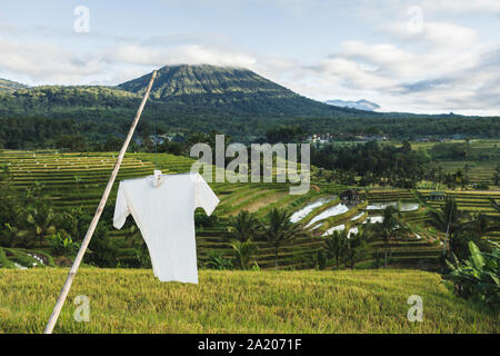 White scarecrow on Jatiluwih rice terraces in Bali. Scenic mountain view in morning. Stock Photo