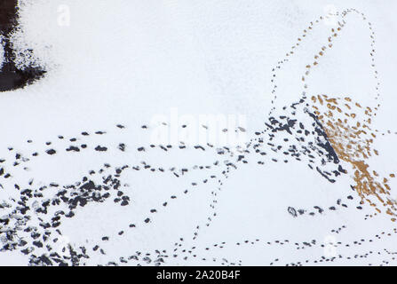 aerial view of footprints on the snow Stock Photo