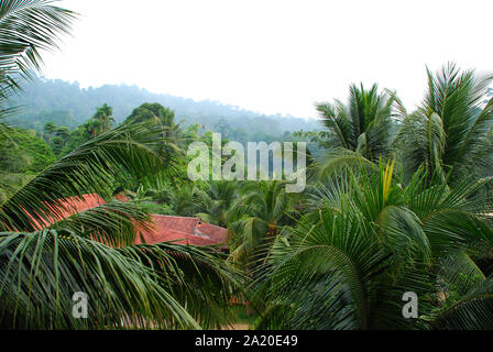 A long shot of a beautiful scene of extreme densed forrest and a red roof cab in the middle Taman Negara Stock Photo