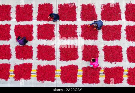 (190930) -- BEIJING, Sept. 30, 2019 (Xinhua) -- Aerial photo taken on Sept. 19, 2019 shows farmers airing chilies at a chili processing factory in Jize County of Handan, north China's Hebei Province. (Xinhua/Wang Xiao) Stock Photo