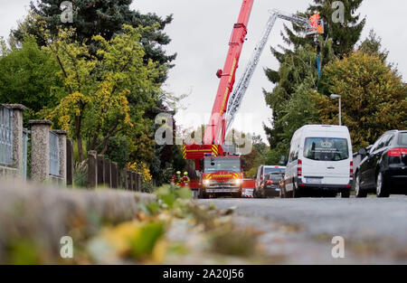 Hanover, Germany. 30th Sep, 2019. Firefighters are recovering a fallen birch. Stormy low 'Mortimer' sweeps across northern Germany. Credit: Julian Stratenschulte/dpa/Alamy Live News Stock Photo