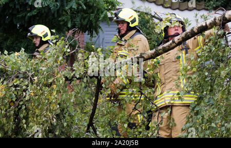 Hanover, Germany. 30th Sep, 2019. Firefighters are recovering a fallen birch. Stormy low 'Mortimer' sweeps across northern Germany. Credit: Julian Stratenschulte/dpa/Alamy Live News Stock Photo