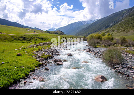 Mountain river flowing through a green valley between hills covered with forest against a cloudy sky. Kyrgyzstan Stock Photo