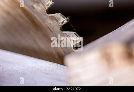 Pips of a circular saw in detail Stock Photo