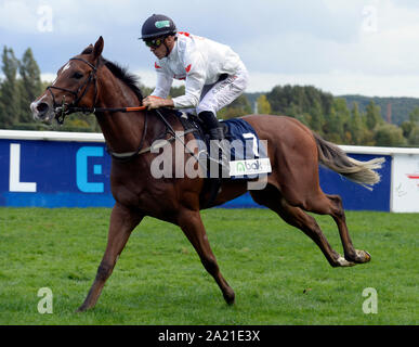 Twelve jockeys from ten countries took place in the Leram European Jockey Cup, at the Chuchle Arena Prague, Czech Republic, September 28, 2019. His biggest star was one of the world's best jockeys, Belgian native Christophe Soumillon, pictured, who also won the final ranking and the Cup for the winner. Dutch Adrie de Vries placed second and Eduardo Pedroza from Panama was the third. (CTK Photo/Katerina Sulova) Stock Photo