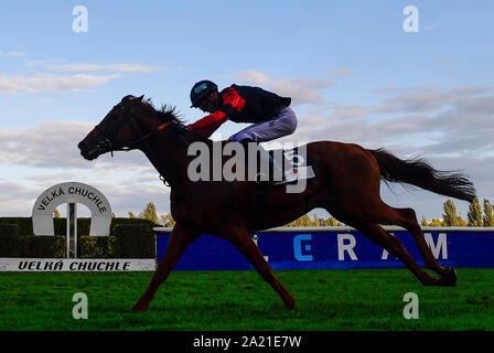 Prague, Czech Republic. 28th Sep, 2019. Twelve jockeys from ten countries took place in the Leram European Jockey Cup, at the Chuchle Arena Prague, Czech Republic, September 28, 2019. His biggest star was one of the world's best jockeys, Belgian native Christophe Soumillon, pictured, who also won the final ranking and the Cup for the winner. Dutch Adrie de Vries placed second and Eduardo Pedroza from Panama was the third. Credit: Roman Vondrous/CTK Photo/Alamy Live News Stock Photo