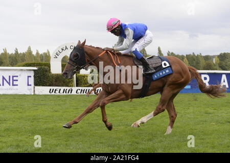 Prague, Czech Republic. 28th Sep, 2019. Twelve jockeys from ten countries took place in the Leram European Jockey Cup, at the Chuchle Arena Prague, Czech Republic, September 28, 2019. His biggest star was one of the world's best jockeys, Belgian native Christophe Soumillon, who also won the final ranking and the Cup for the winner. Dutch Adrie de Vries placed second and Eduardo Pedroza (pictured) from Panama was the third. Credit: Katerina Sulova/CTK Photo/Alamy Live News Stock Photo