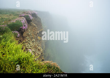 Cliff top at Bedruthan Steps on a foggy day, near Newquay, Cornwall, England, Great Britain, UK.