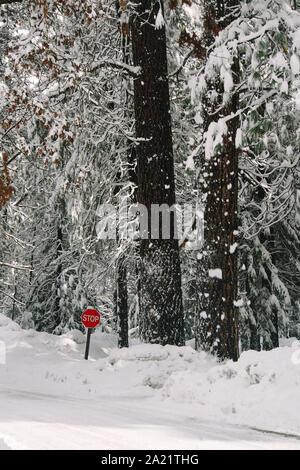 A stop sign in snow at Yosemite National Park. Stock Photo