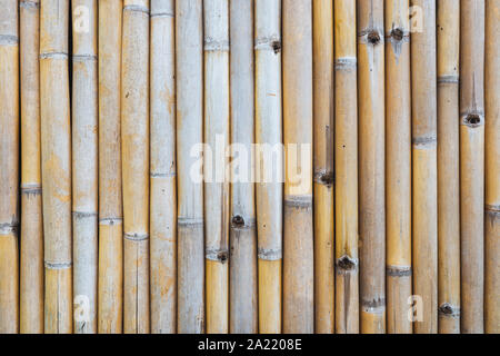Bamboo fence texture Stock Photo