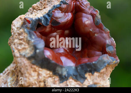 Crater Red Fox Agate.  natural mineral specimens. Stock Photo