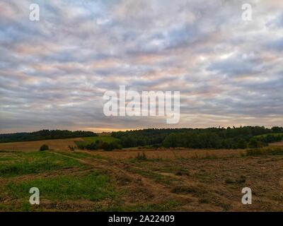 Country road at sunset leading between fields and forests Stock Photo