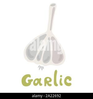 Vector illustration logo for whole ripe vegetable bitter white garlic. Fresh bitters garlics on health. Stock Vector